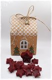2024 - Christmas House with Wax Melts