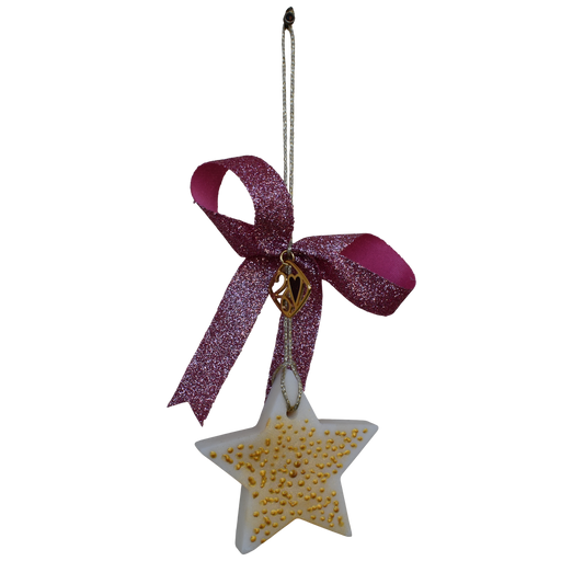 2026 - Good Luck Star Ornament - Wax Melt