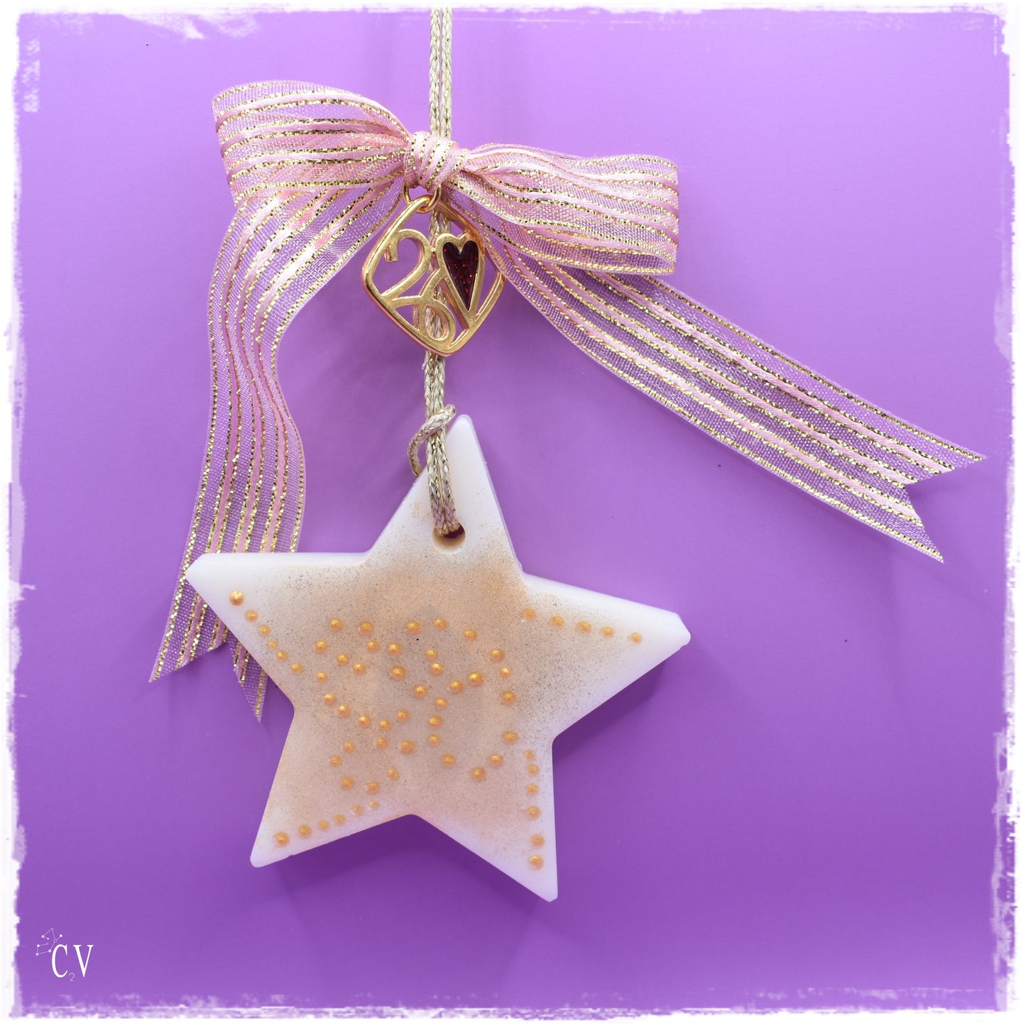 Christmas 2026 - Wax Melt Star Ornament