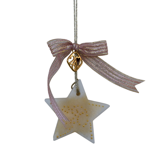 Christmas 2026 - Wax Melt Star Ornament