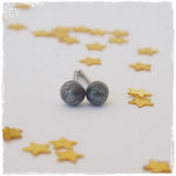 Silver Stainless Steel Studs
